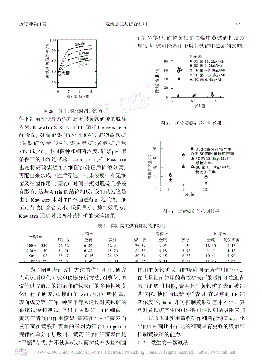 矿浆微生物预处理强化细粒煤脱硫_第3页