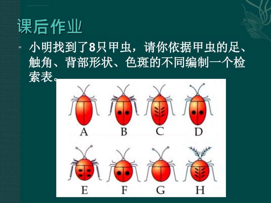 生物：北师大版八年级下21.2生物的进化（课件4）_第3页