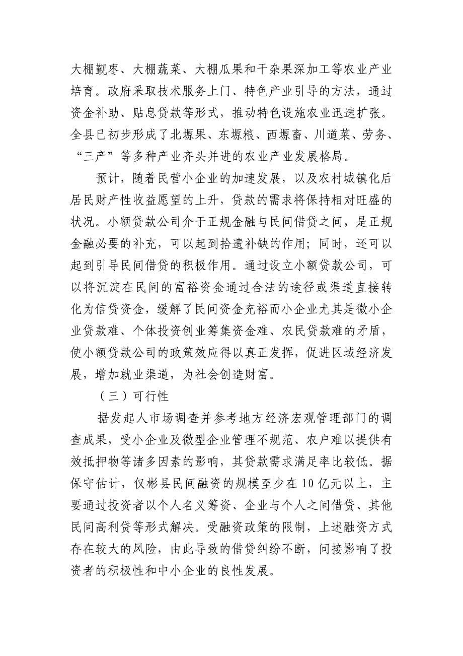 成立小额贷款公司的可行性报告_第5页