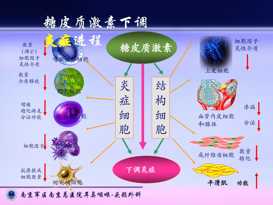 布地奈德在耳鼻咽喉的应用_第4页