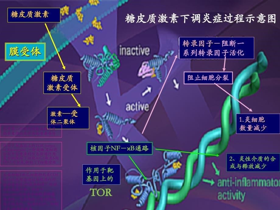 布地奈德在耳鼻咽喉的应用_第5页