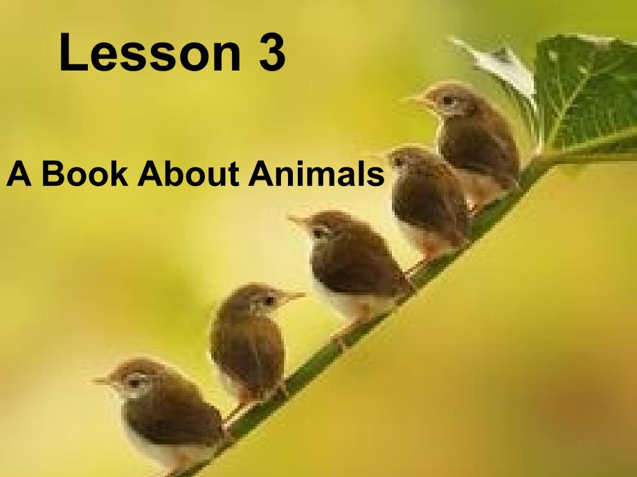 《lesson3abookaboutanimals课件》小学英语川教版三年级起点五年级下册_2_第1页