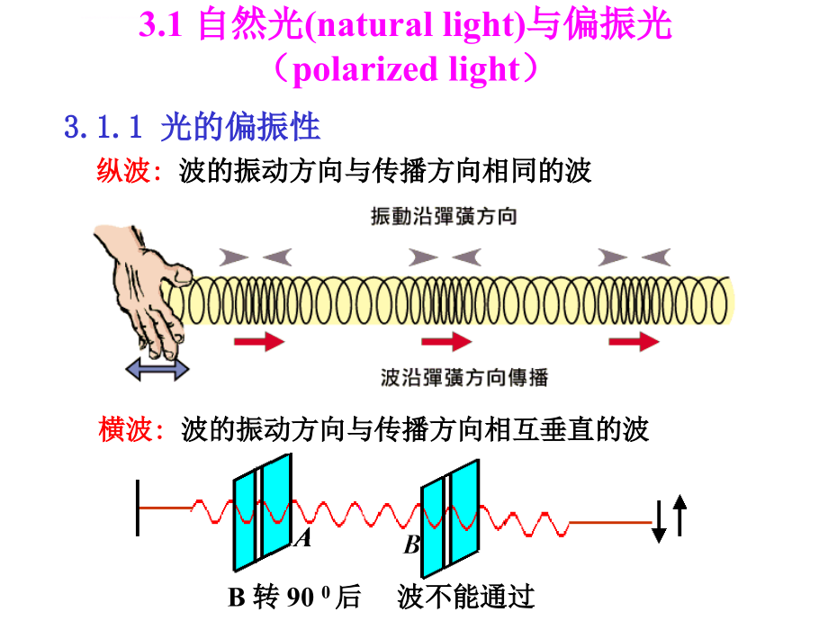 光的偏振讲义（精品）_第3页