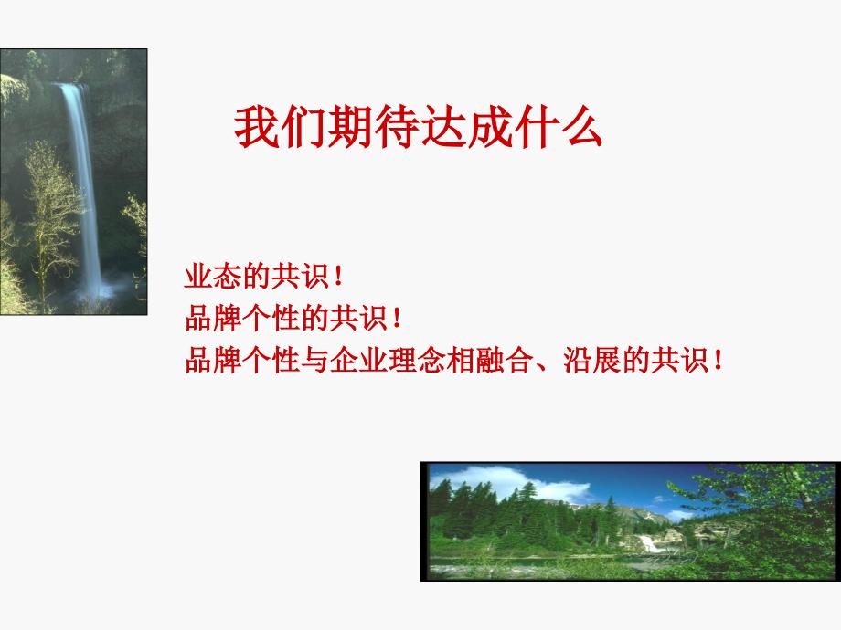 重庆高山流水品牌概念沟通提案_第2页
