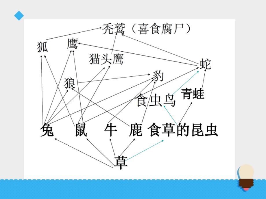 六年级上册科学课件-第五单元密切联系的生物界第1课时∣青岛版（六年制，三起）(共15张PPT)_第3页