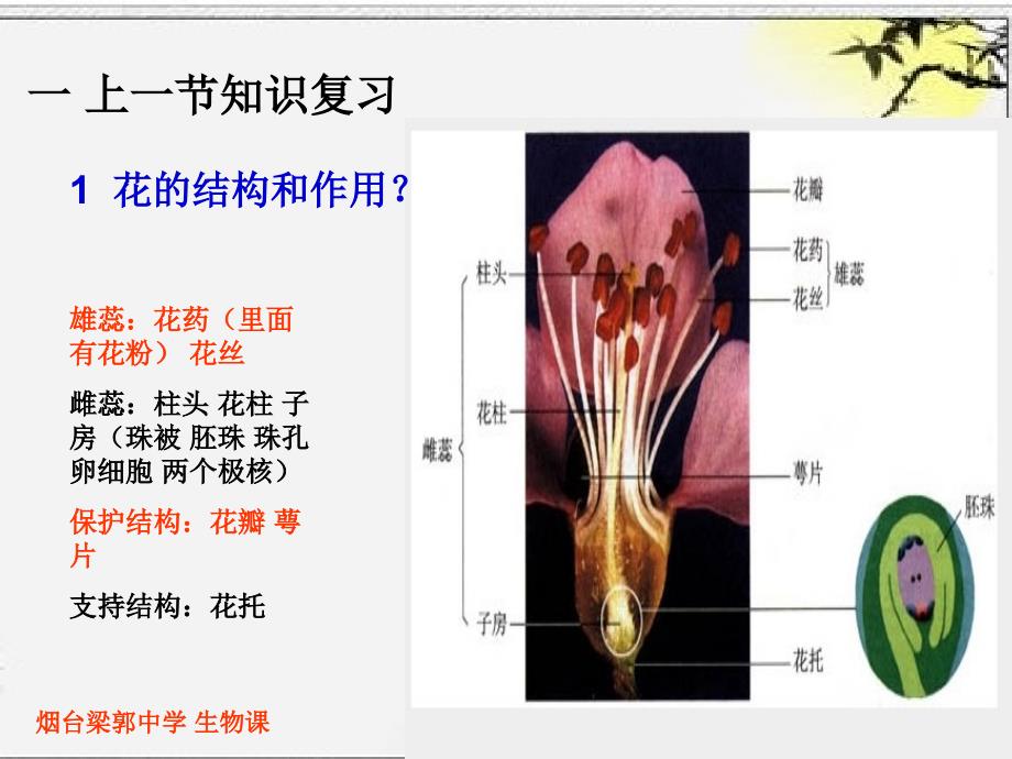 绿色植物需要水_第2页