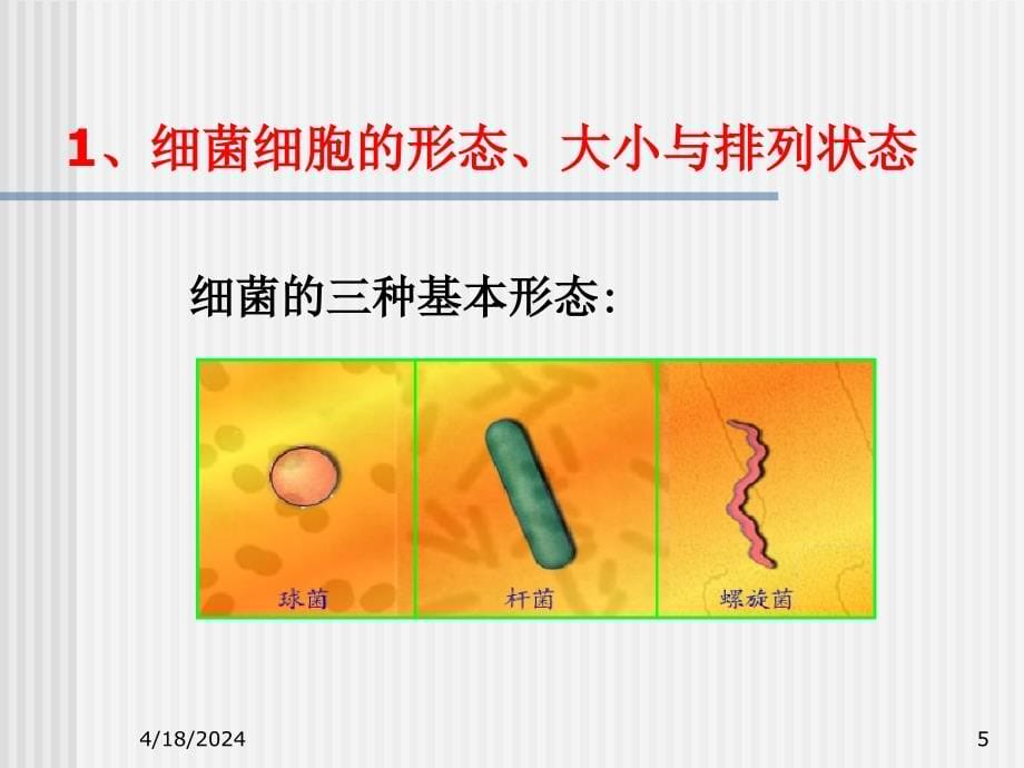 包装工艺学3.2_第5页