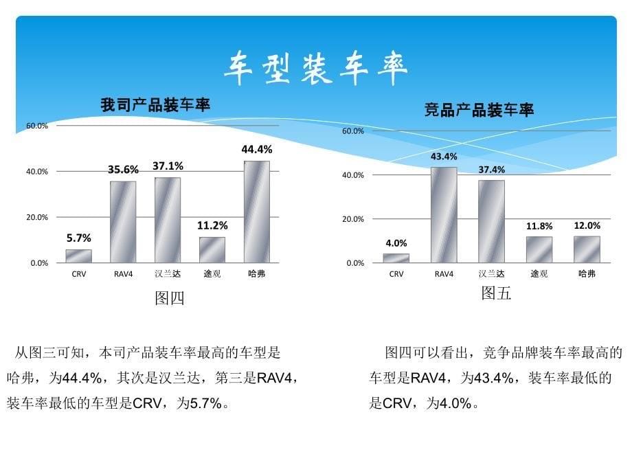 调查分析报告模板_第5页