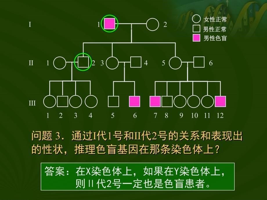 用顺推的方式分析人类红绿色盲_第5页