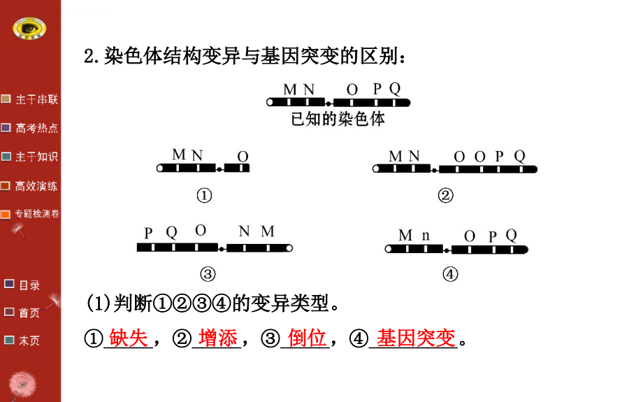 2014版安徽重庆生物高考专题二轮课件专题四第3讲变异育种与进化_第3页