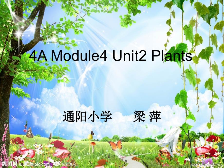 《unit2moreinsectsandplants课件》小学英语牛津沪教2001课标版四年级上册课件_第1页