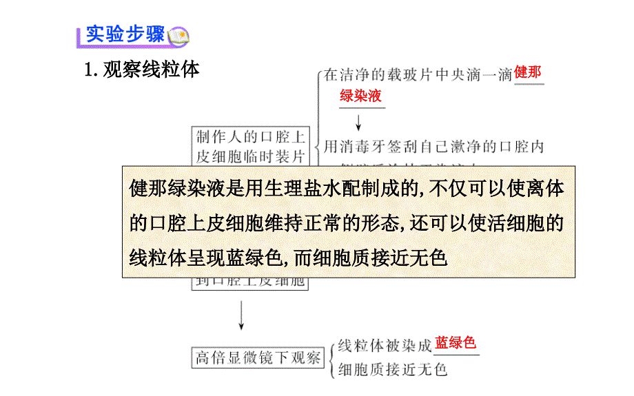 高中生物第3章实验用高倍显微镜观察叶绿体和线粒体课件新人教版必修1_第3页