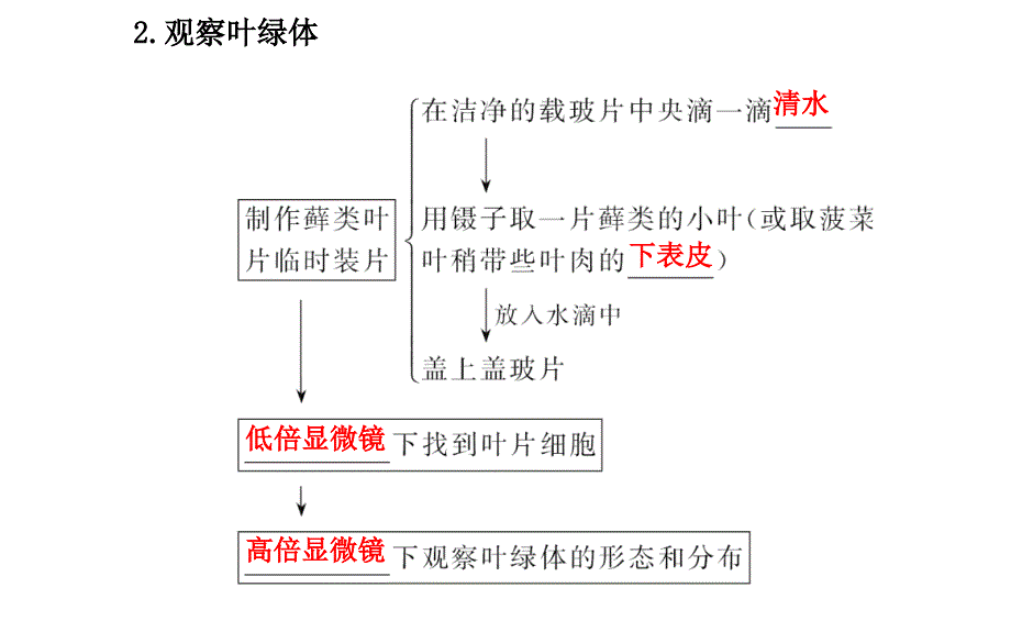 高中生物第3章实验用高倍显微镜观察叶绿体和线粒体课件新人教版必修1_第4页