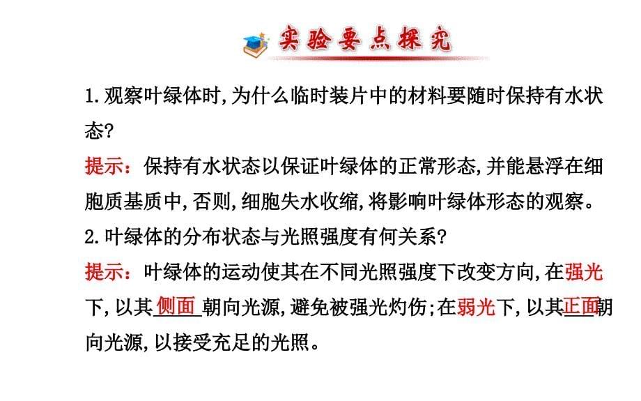 高中生物第3章实验用高倍显微镜观察叶绿体和线粒体课件新人教版必修1_第5页