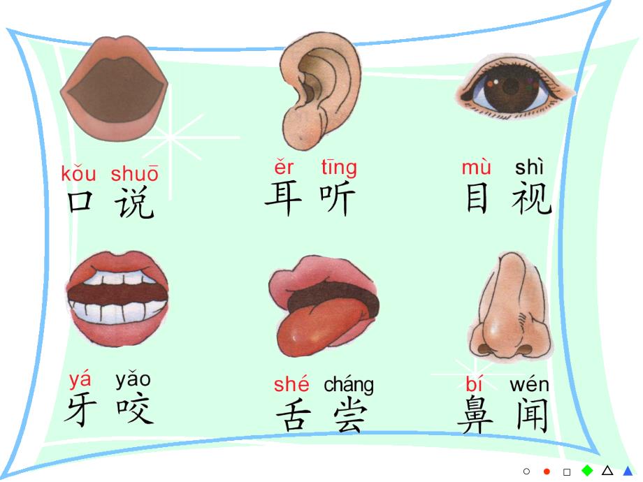 小学语文：《保护器官》课件（西师大版一年级上）_第4页