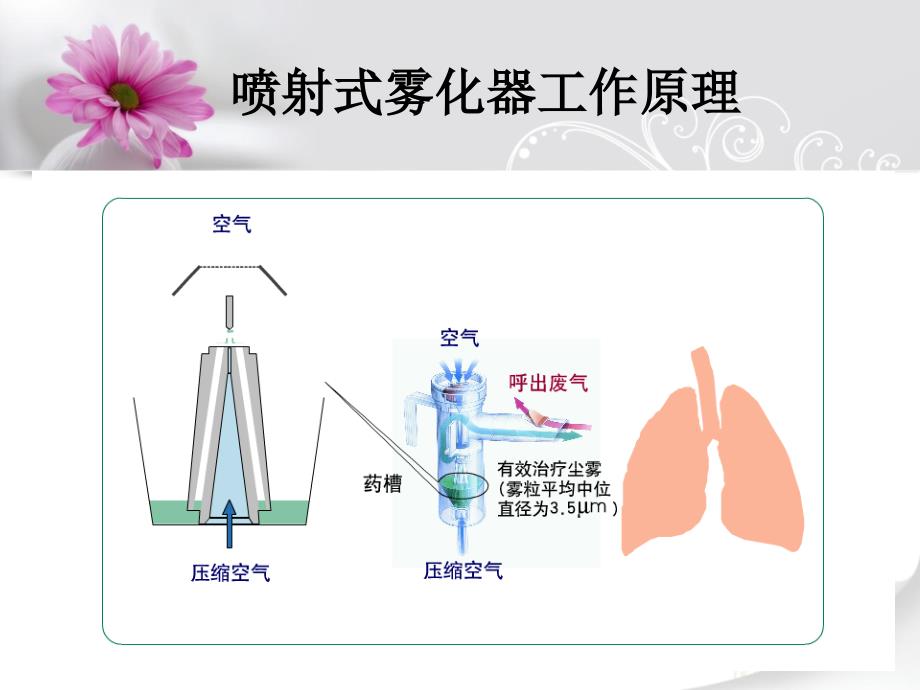 小儿雾化吸入宣教改dpt课件_1_第4页