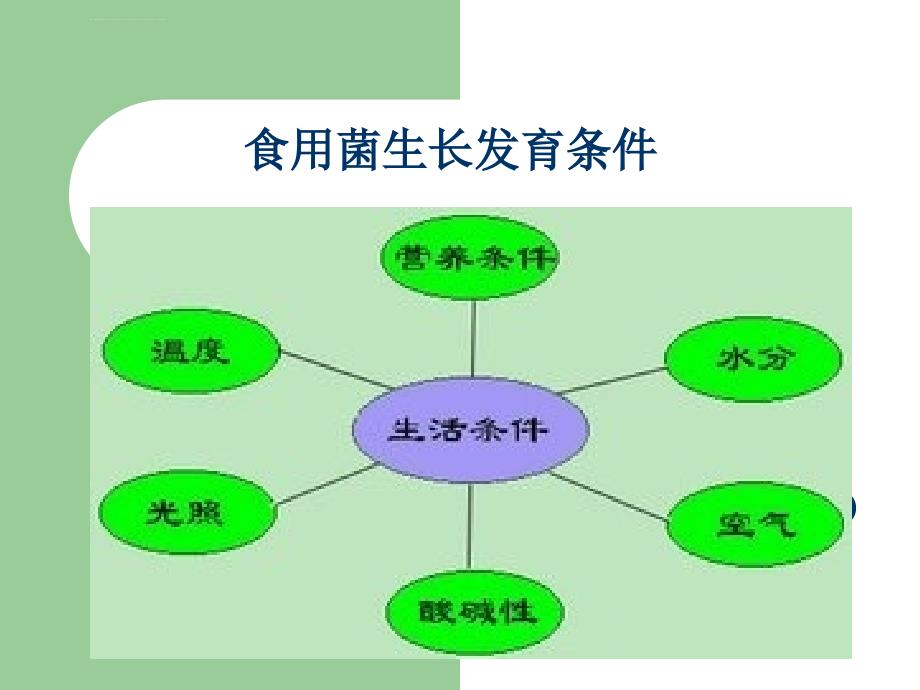 食用菌生长发育条件课件_第1页