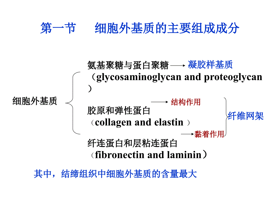 级医学细胞生物学知识点串讲课件_第2页