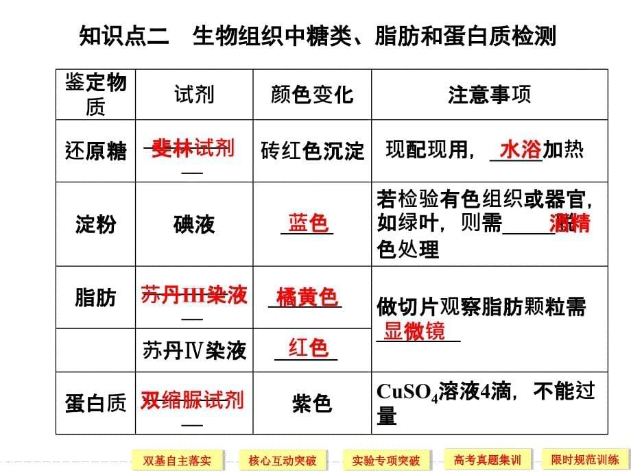 高中生物细胞中的化合物课件_第5页