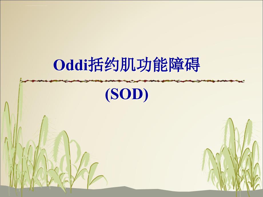 括约肌功能障碍sod课件_第1页