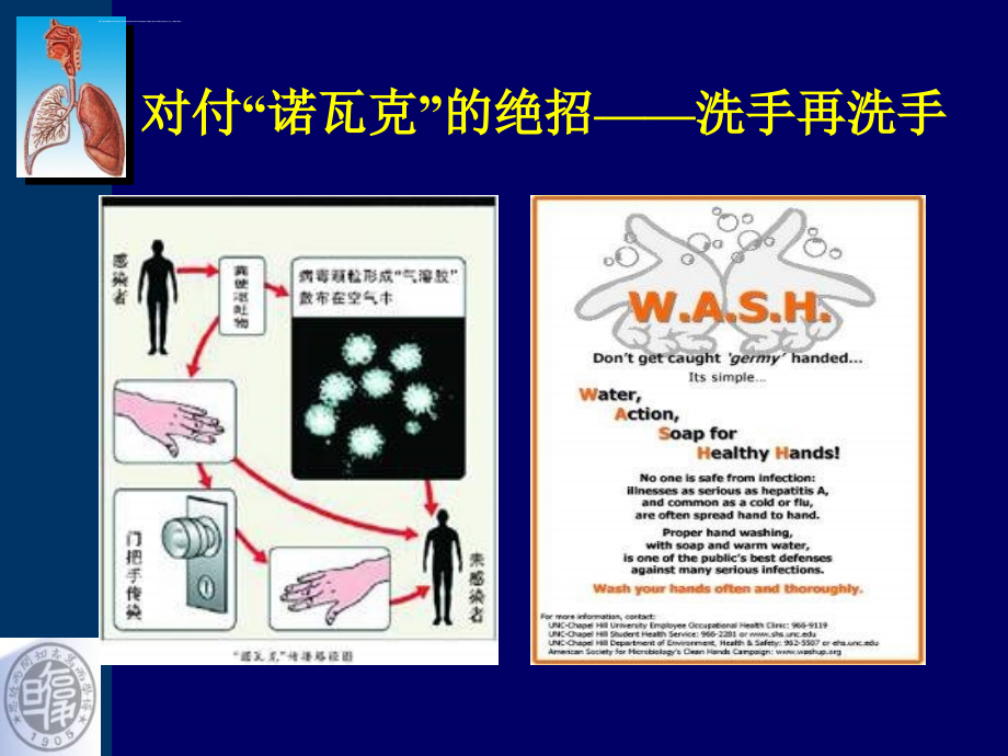 手卫生与职业安全课件_第4页