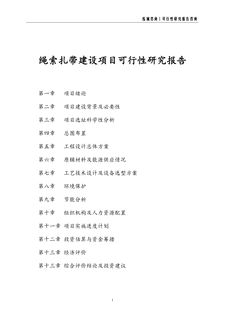 绳索扎带建设项目可行性研究报告_第1页