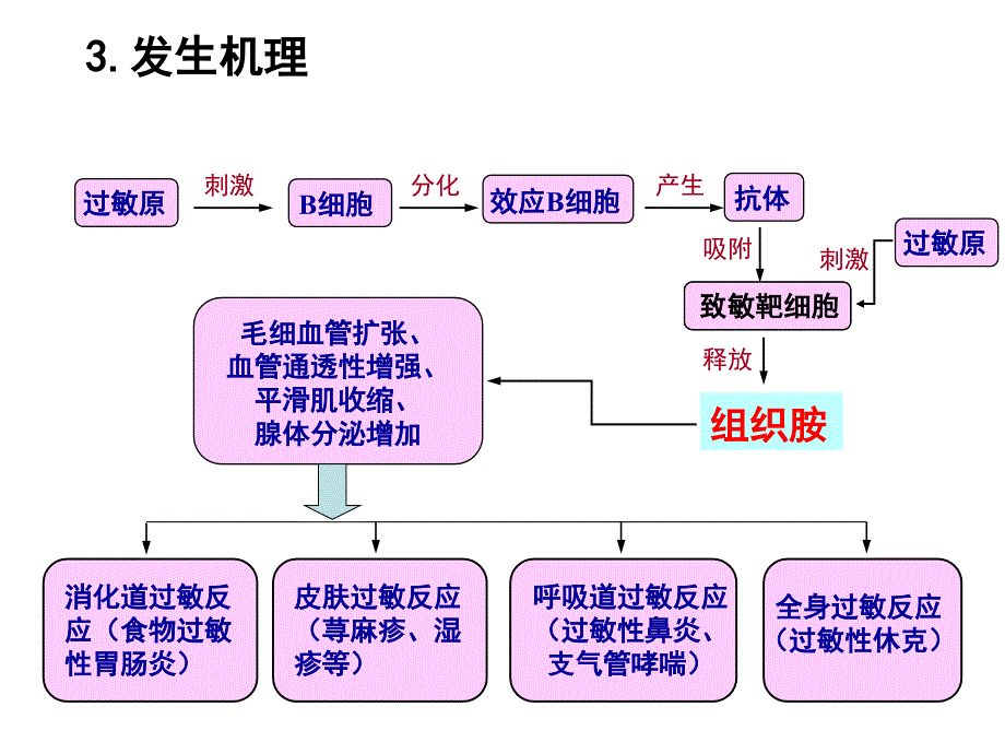 免疫失调与人类健康课件_第4页