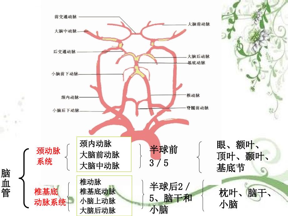 医学急性脑卒中急诊治疗_第3页