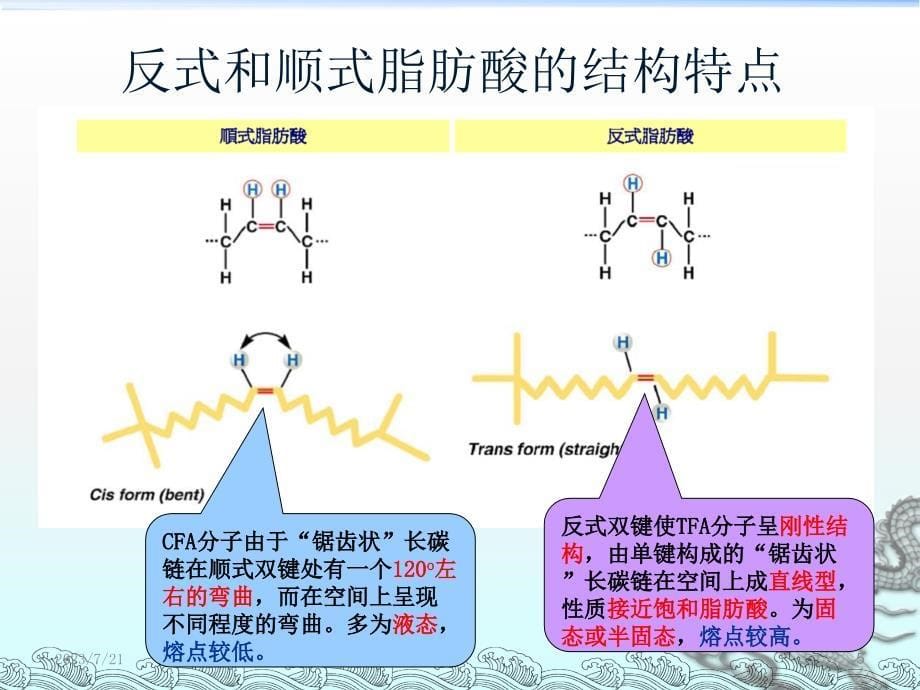 脂类课件_第5页