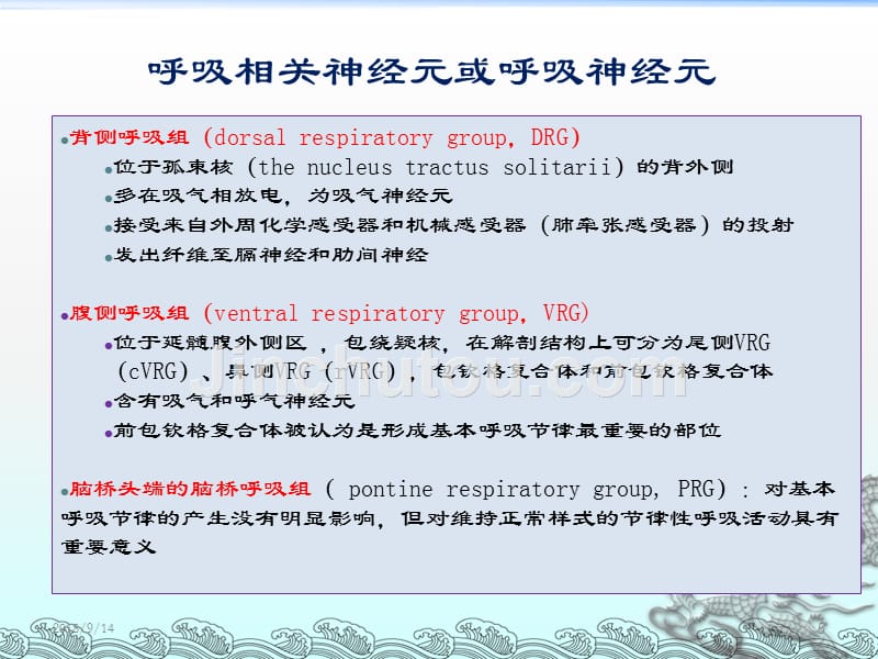 呼吸科呼吸系统8课件_第5页