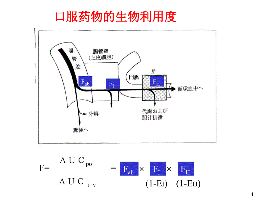 药物代谢动力学1课件_第4页