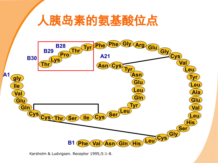 门冬胰岛素_第4页