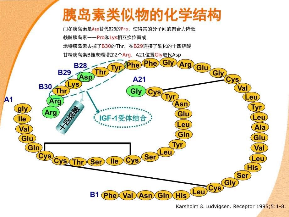 门冬胰岛素_第5页