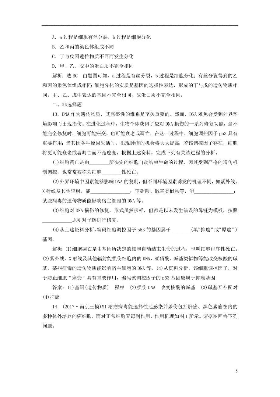 2019版高考生物一轮复习第一部分分子与细胞第四单元细胞的生命历程课时跟踪检测细胞的分化、衰老、凋亡和癌变_第5页