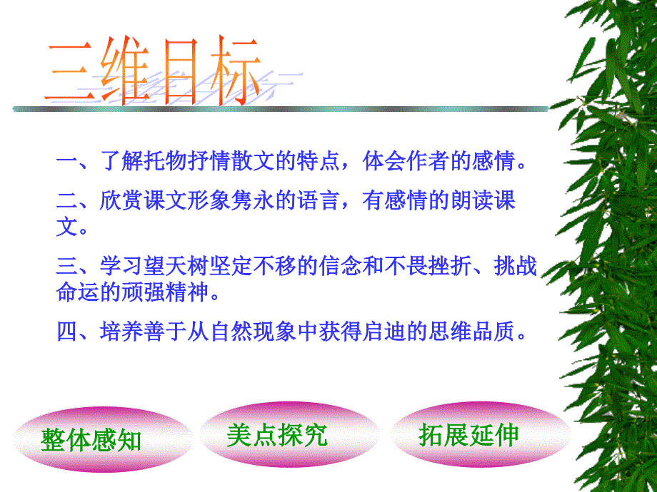 鄂教版七年级上册语文《望天树》精品课件本_第2页