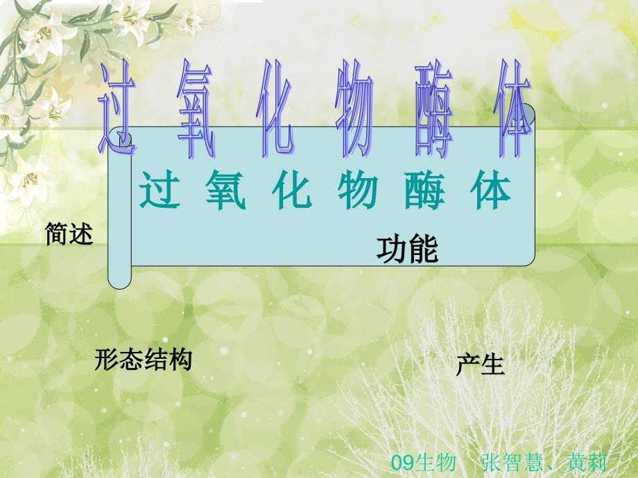 过氧化物酶体_第1页