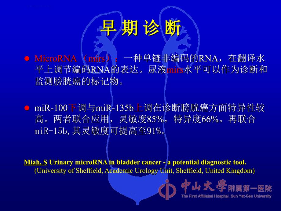 膀胱癌新进展的探讨课件_第4页