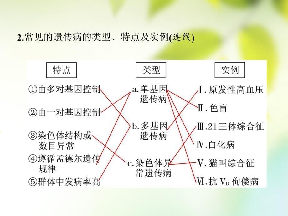 2019版高考生物一轮复习第2部分遗传与进化第一单元遗传的基本规律与伴性遗传第4讲人类遗传病和基因定位课件_第5页