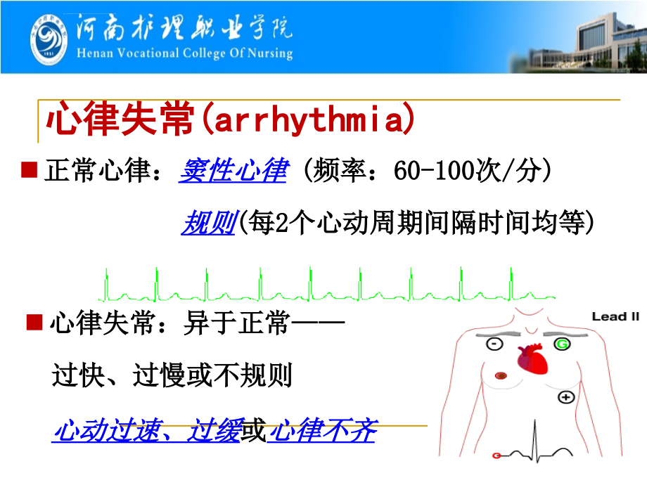 抗心律失常药课件_2_第2页