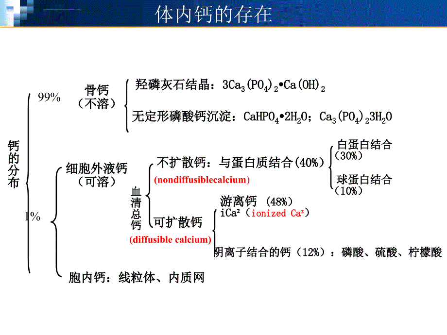 钙代谢讲稿课件_第3页