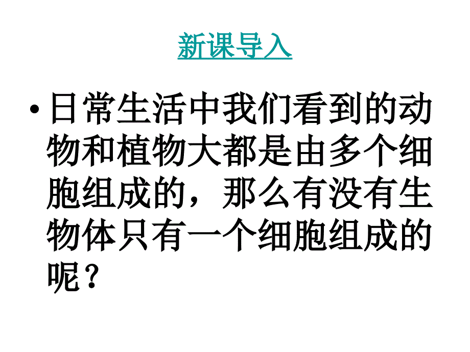 教学比武单细胞生物课件_第2页