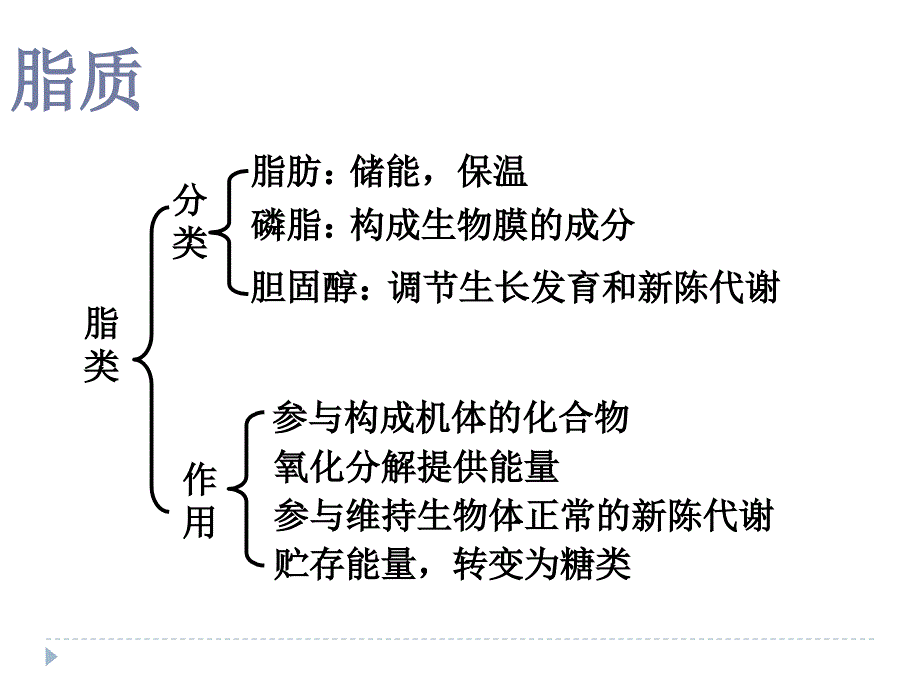 血脂代谢_第1页