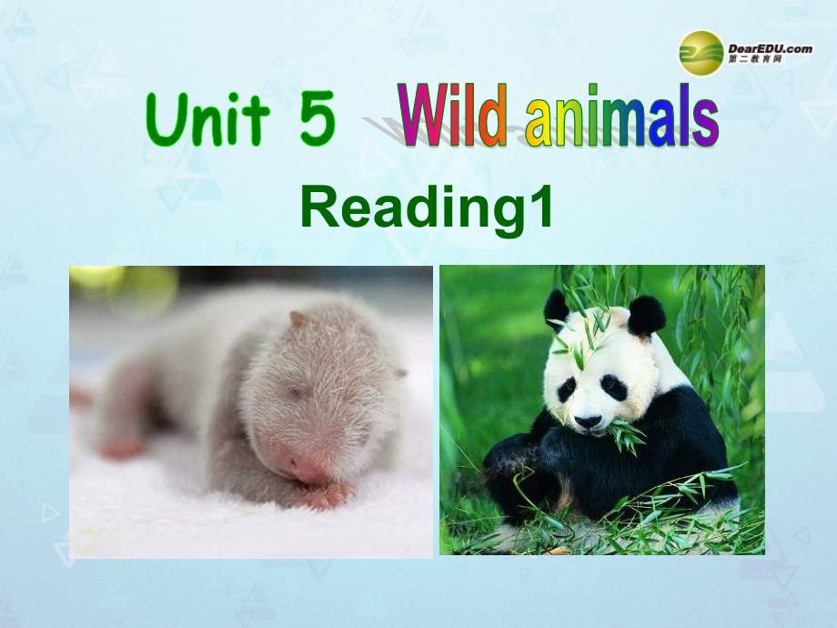 八年级英语上册unit5wildanimalsreading课件牛津译林版_第1页