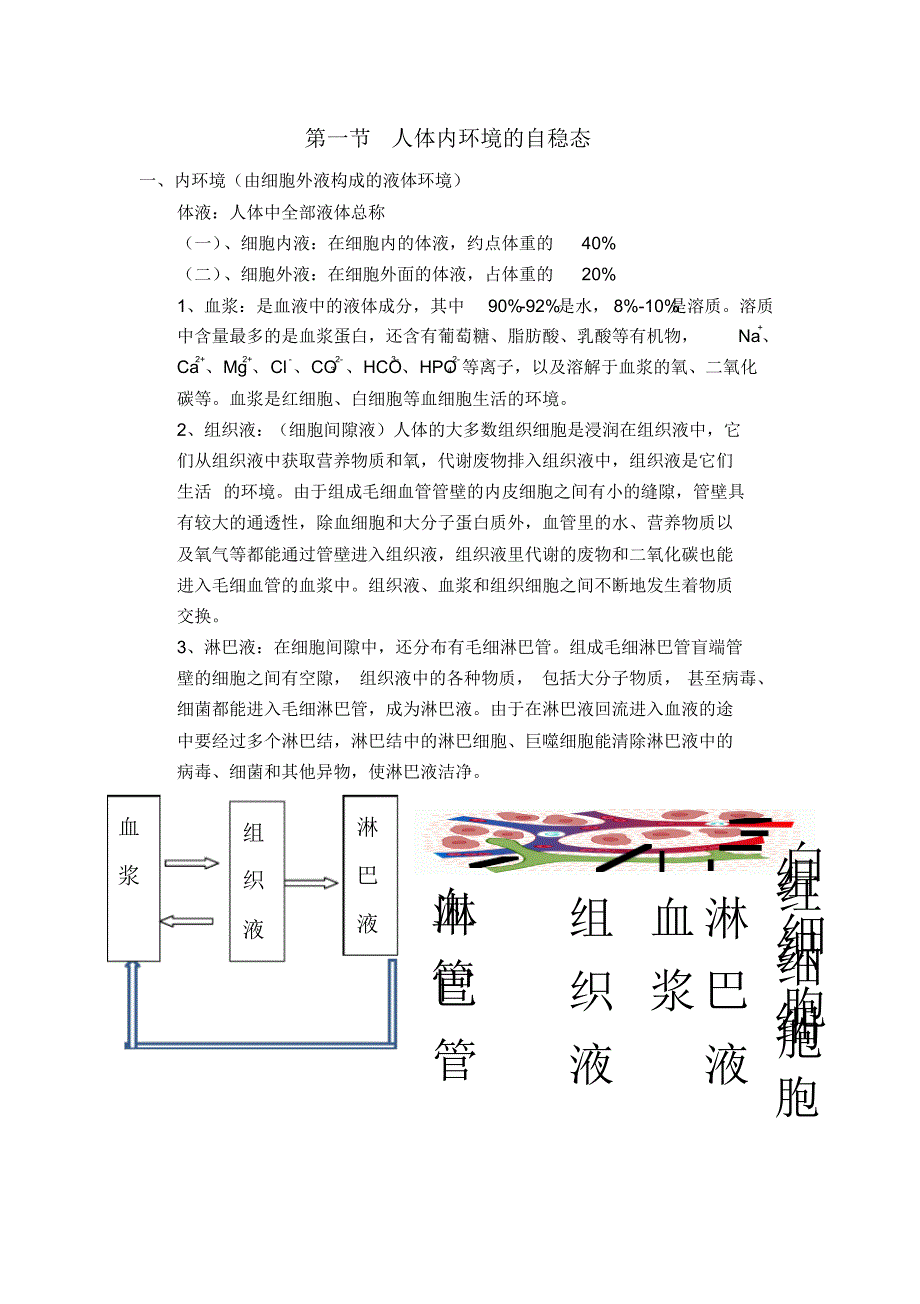 上海生物人体内环境的自稳态——王倩_第1页