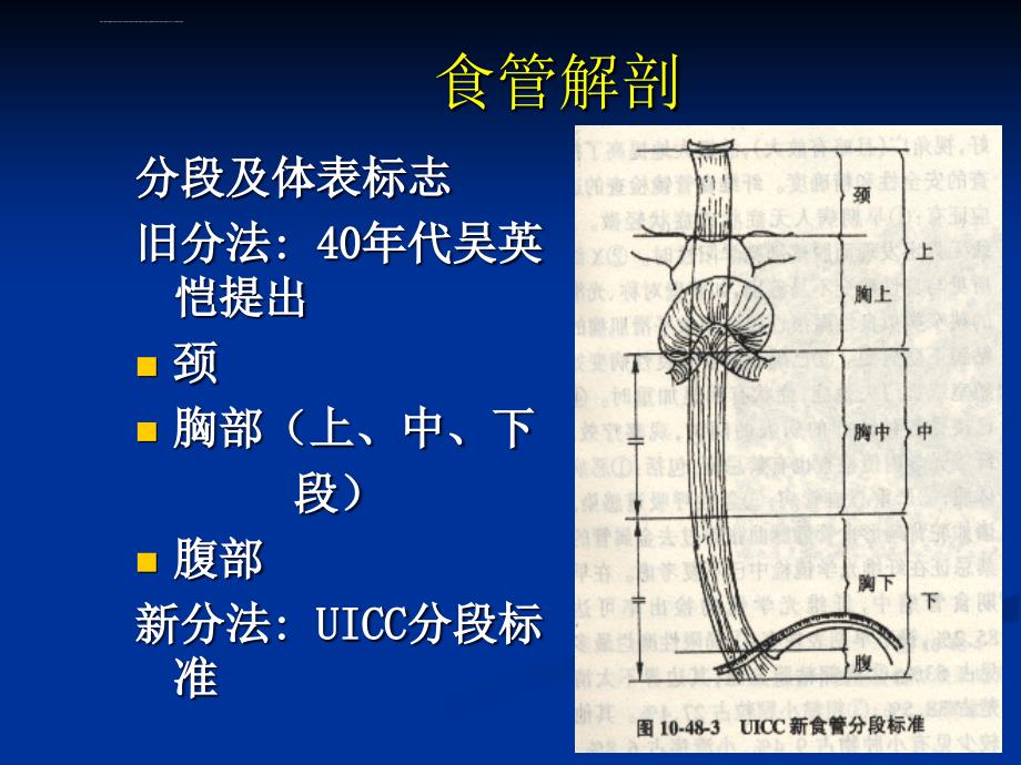 食管癌放疗患者护理课件_第2页