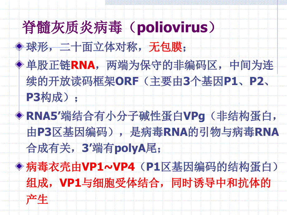 肠道病毒a课件_第2页