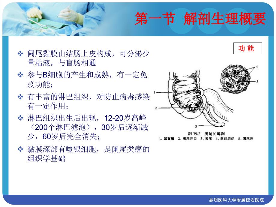 急性阑尾炎第八版课件_第3页