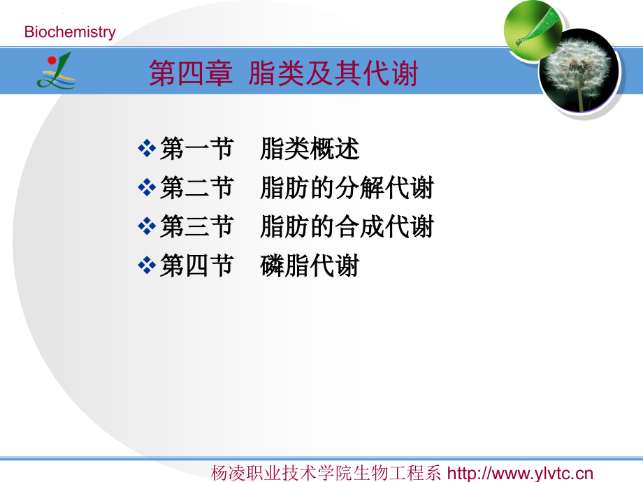 脂类及脂类代谢培训课件_第2页