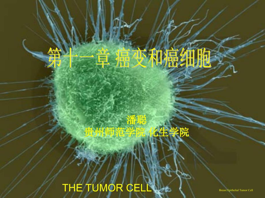 癌细胞与癌变课件_第1页