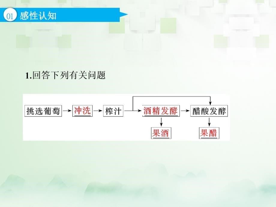 2019版高考生物一轮复习选考部分生物技术实践第一讲发酵食品加工的基本方法课件_第5页